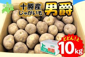 【CF】北海道 じゃがいも 男爵 10kg 北海道産 十勝産 男爵芋 男爵イモ 男爵薯 ジャガイモ 芋 いも ポテト お取り寄せ まとめ買い 送料無料 十勝 士幌町【V03】