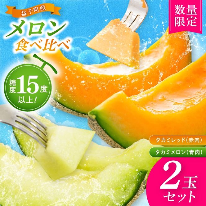 【先行予約】【数量限定】赤肉・青肉メロン食べ比べ2個セット｜タカミレッド＆タカミメロン｜高糖度・産地直送｜栃木県益子町 メロン プレゼント お中元 産地直送 赤肉 青肉　(AA045)