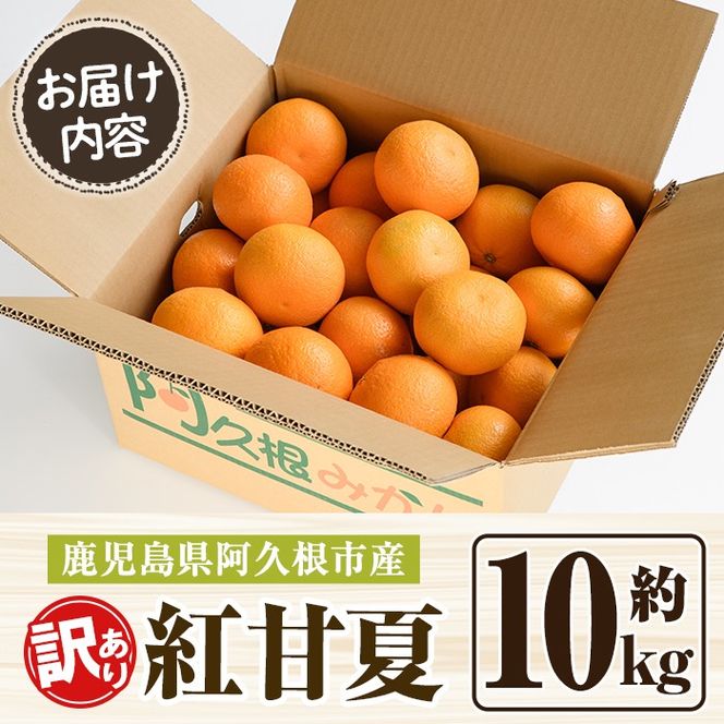 訳あり！紅甘夏(10kg) 国産 紅甘夏 柑橘 果物 フルーツ デザート 果実 期間限定 数量限定【古田果樹園】akn093-04