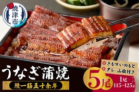 a48-010　鰻蒲焼真空パック〈5人前〉（1人前 115ｇ～125ｇ）