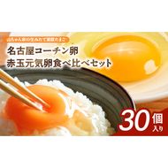 【山ちゃん家の生みたて葉酸たまご】名古屋コーチン卵・赤玉元気卵 食べ比べセット（各15個 合計30個入り）［132Y09］山ちゃん家 生みたて 葉酸たまご 名古屋コーチン卵 赤玉元気卵 食べ比べ セット 各 15個 合計 30個 入り 卵 地鶏 朝食 卵焼き 目玉焼き オムライス ゆでたまご 山田養鶏 お取り寄せ 愛知県 小牧市 送料無料