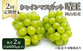 ぶどう 定期便 2026年 先行予約 シャイン マスカット 晴王 各月2房（1房600g以上） 2回コース マスカット ブドウ 葡萄  岡山県産 国産 フルーツ 果物 ギフト 大粒 高級 甘い 弾力