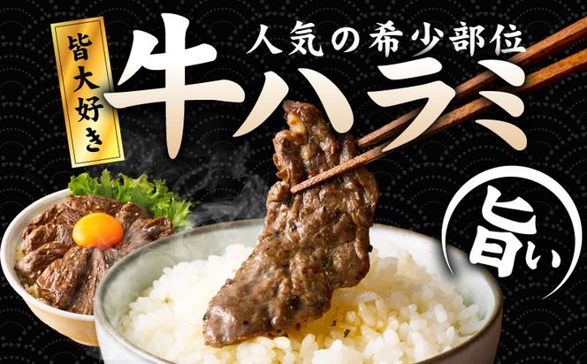 G3356 【満足牛ハラミ】オリジナルスパイス仕込み 合計1kg 【味付け ハラミ 小分け 焼くだけ 簡単調理 BBQ 牛肉 250g×4P】