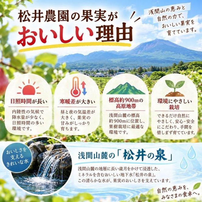 バター【紅玉りんごバター（140g）２個セット】りんご リンゴ りんごバター 紅玉 完熟 アップル 果物 ペースト トッピング バタースプレッド トースト ヨーグルト 信州 長野