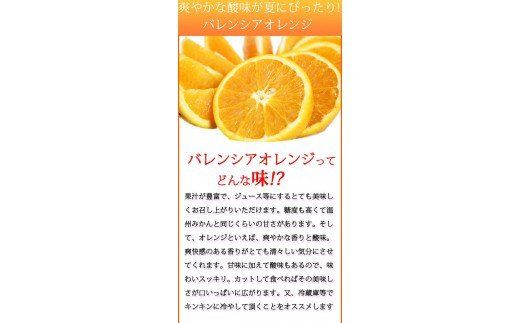 秀品　希少な国産バレンシアオレンジ　2.5kg　※2026年6月下旬頃～7月上旬頃 順次発送予定（お届け日指定不可）【uot752】