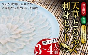 【数量限定】 【大皿】 【ミシュラン星付きのプロが愛用】 天草 とらふぐ 刺身 セット 3~4人前 焼ヒレ 付き 【2024年12月下旬～2025年3月下旬発送予定】ふぐ 河豚 フグ トラフグ 刺身 ふぐ刺し 皮刺し ひれ酒