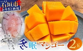 《2026年7月以降発送》最高糖度20度！？ 完熟！3Lサイズ　石垣島産冬眠マンゴー 【 沖縄 石垣 数量限定 フルーツ マンゴー 冷凍 完熟 真空 】TF-17-1_R8