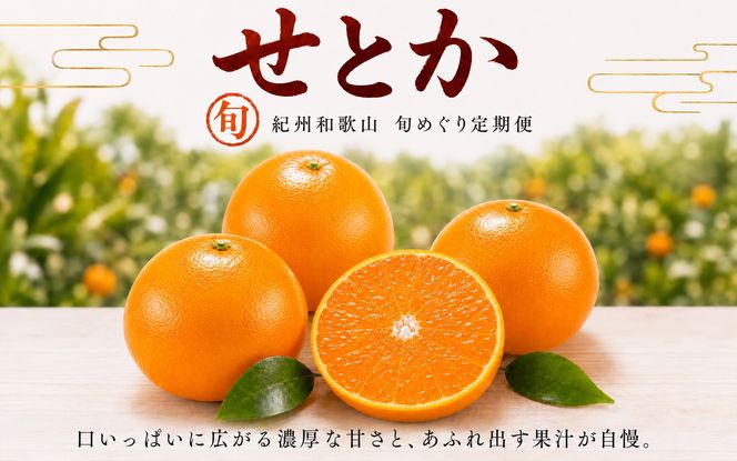 【全3回】紀州和歌山産旬のフルーツセット(せとか・桃・富有柿)  / 果物定期便 フルーツ定期便 セトカ 柑橘 くだもの 果物 カキ かき 柿 もも モモ 桃 【tkb392】