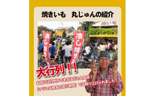 【ジャパンフードセレクション 金賞】（全3回） 毎月お届け 冷やし焼き芋３種食べ比べセット 約1kg×3回 定期便 芋スイーツ H047-062