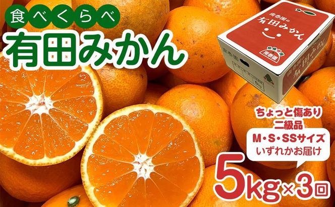 定期便 ちょっと 傷あり 5kg ×3 回 コース 有田みかん 食べくらべ 3種 全3回 南泰園 BS815