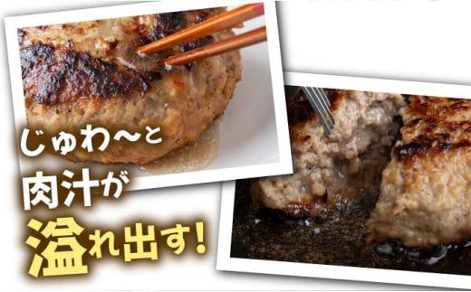 《数量限定》選べる個数 23個 8個 佐賀牛ハンバーグ120g ふっくらジューシー！