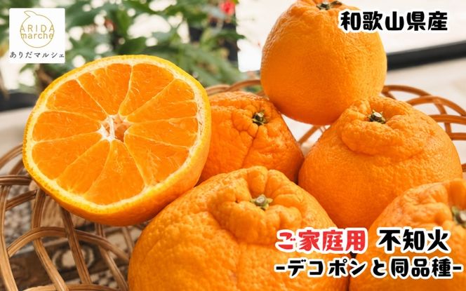 有田育ちの濃厚 不知火 ( デコポン と同品種)( 訳あり 家庭用 )  約5kg+200g(傷み補償分) ※2027年1月下旬～3月下旬に順次発送【ard021C】