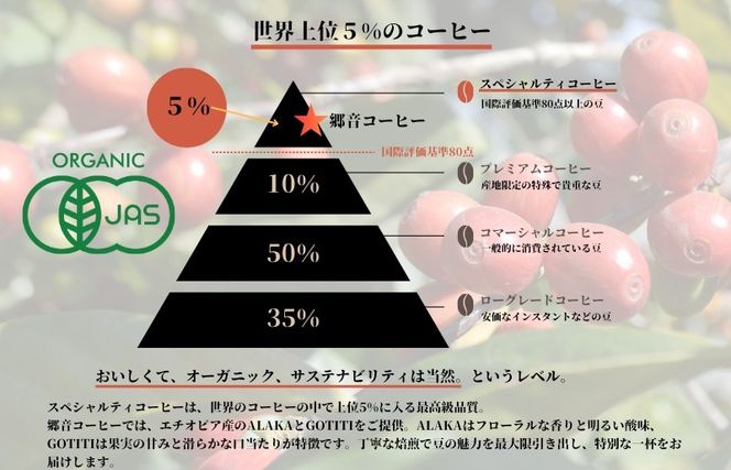 G1399 スペシャルティコーヒー焙煎豆 200g×2種 （中浅煎り／中深煎り） 【飲み比べ 珈琲 COFFEE コーヒー オリジナル キャンプ アウトドア】