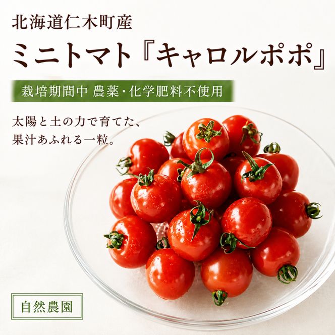 ミニトマト「キャロルポポ」1kg 栽培期間中 農薬・化学肥料不使用 北海道 仁木町 トマト ミニトマト 野菜 [自然農園]