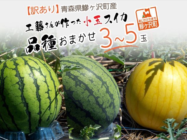 先行予約 訳あり 工藤さんが作ったスイカ 3～5玉 品種おまかせ スイカ すいか 果物 くだもの フルーツ 旬の果物 旬のフルーツ 季節のフルーツ デザート 訳アリ 青森 青森県 鰺ヶ沢町