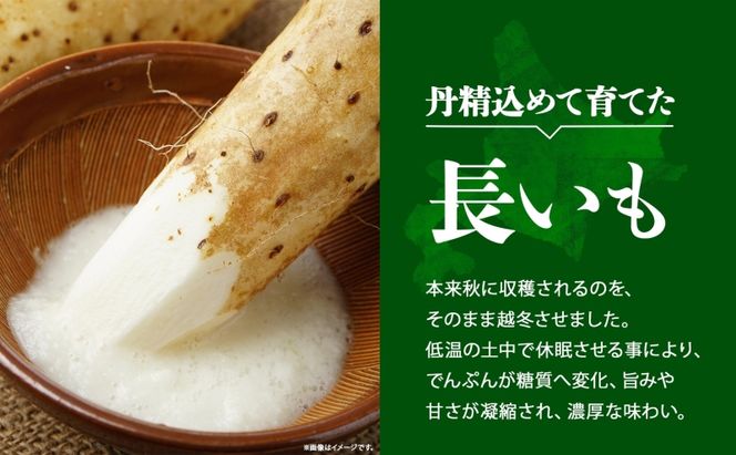 北海道産 長いも 春夏出荷 約10kg 2026年5月上旬～6月下旬頃お届け 長芋 ながいも とろろ 農作物 野菜 新鮮 根菜  山かけ 産地直送 お取り寄せ 送料無料 冷蔵 北海道 洞爺湖町