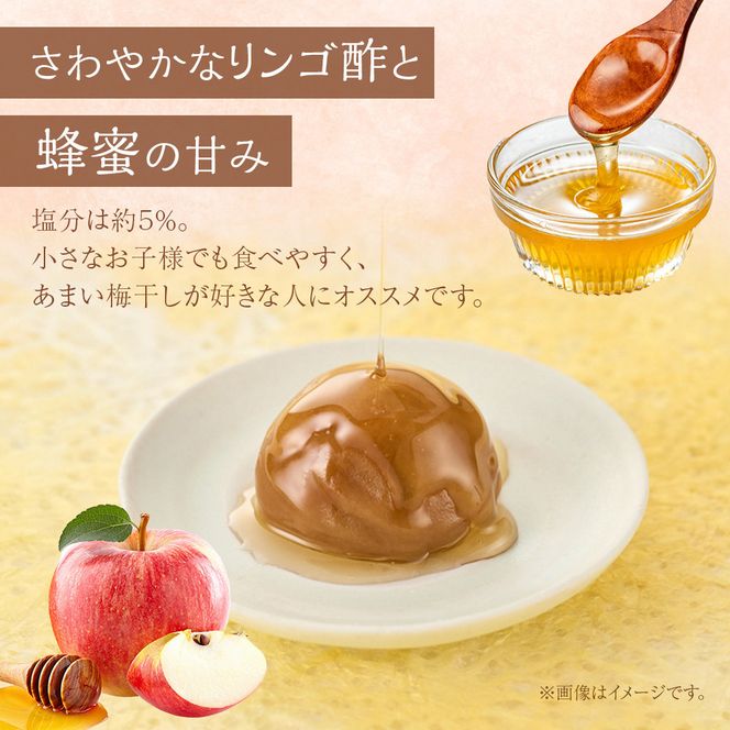 紀州南高梅 蜂蜜つぶれ梅 塩分5％ 1kg (500g×2) ［Kn22］ 303446_CQ022