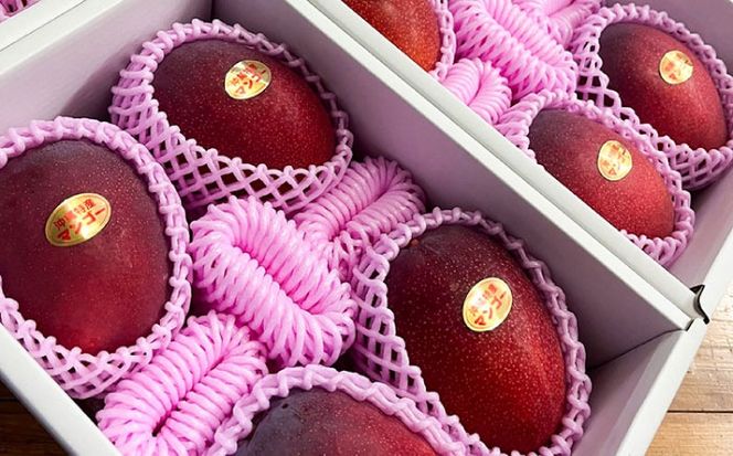 【優秀賞受賞】沖縄県産 完熟マンゴー 贈答用 1kg (2〜3玉) マンゴー 沖縄 果物 フルーツ ギフト 沖縄市 / MAIFARM[BCAN001]