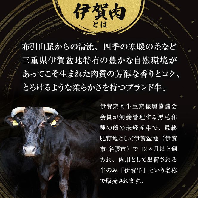 伊賀牛 しぐれ煮 佃煮 三重県 名張市 和牛 国産牛 冷凍 森脇商店 産直 ご飯のお供 お取り寄せ ギフト 詰め合わせ 贅沢 牛肉 高級肉 プレゼント 黒毛和牛 旨み ジューシー お歳暮 お中元 柔らか 自家牧場 奥田 ブランド牛