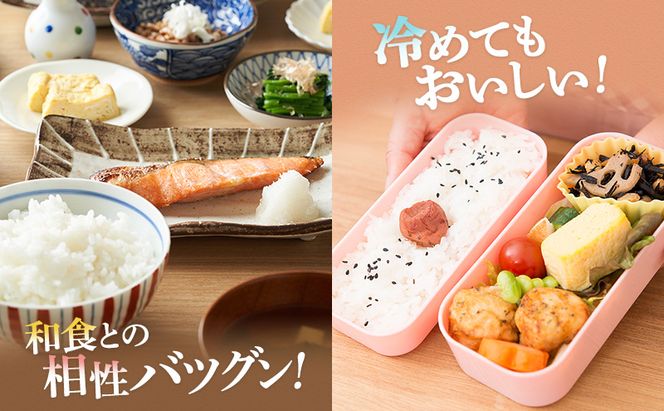 米 定期便 3ヶ月 農賊王のお宝分け 10kg 高島屋選定品 コシヒカリ こしひかり あきさかり イクヒカリ お米 おこめ こめ コメ 白米 精米 ご飯 ごはん 福井県 福井 3回 お楽しみ 