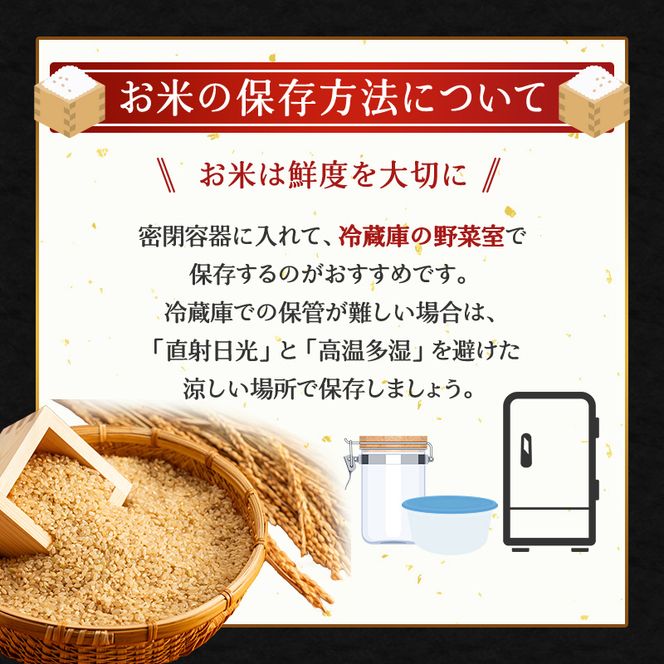 6ヵ月 定期便 (玄米3kg)ホクレンゆめぴりか(3kg×1袋) 北海道米 お米 玄米 ごはん ご飯 ライス 和食 炭水化物 主食 おにぎり お弁当 ほど良い粘り 豊かな甘み つややか 特A [JA新おたる]
