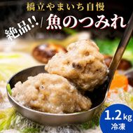 橋立やまいち自慢の魚のつみれ 4パックセット（冷凍）1200g つみれ 魚 鍋 京都府 宮津市 myz02 myz11 myz17