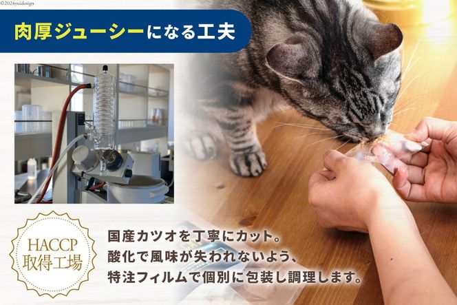 6回 定期便 ペットフード 犬 猫 NAMAプレミアム 犬猫用 おやつ 天然本鰹 160g 3袋 総計2.88kg [25Holdings Japan 静岡県 吉田町 22424413] 犬用 猫用 ドッグフード キャットフード エサ 餌 いぬ ねこ ペット 国産 個包装