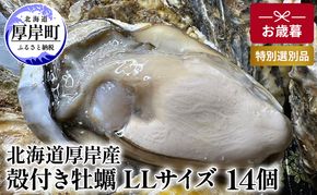 北海道 厚岸産 殻付き 牡蠣 LLサイズ 14個 お歳暮 特別選別品 魚貝類 生牡蠣 海鮮 海の幸 海産物 ふっくら 濃厚 甘み マルえもん オイスター 生食用殻付カキ 生食用 