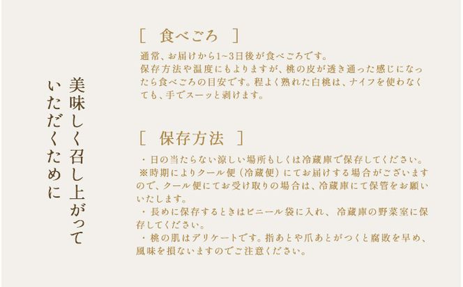 桃 2026年 先行予約 おかやま 夢 白桃 5～6玉入り(約1.5kg) 贈答用 もも モモ 岡山県 赤磐市産 国産 フルーツ 果物 ギフト 