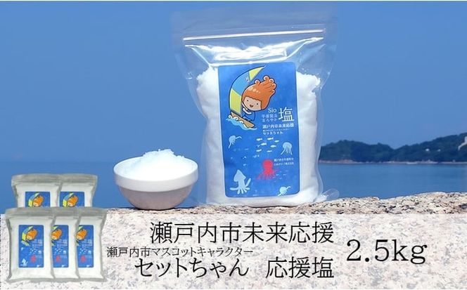 セットちゃん 応援塩 2.5kg(500g×5袋) 塩 フレーク塩 粗塩 調味料 岡山 瀬戸内市 [№5735-3373]