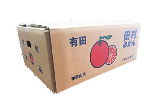 【先行予約】【ご家庭用訳あり】田村みかん ５ｋｇ◇｜ 有田 紀伊 ふるさと納税 ミカン 蜜柑 柑橘 果物 フルーツ 糖度 甘い 濃厚 コク ジューシー 先行予約 みかん 国産 産地直送 人気 美浜町