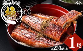 楠田の極うなぎ 蒲焼き 1尾(230g以上) a3-184