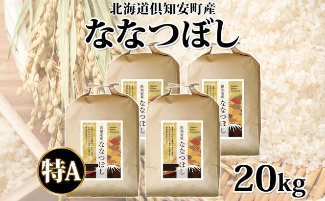 北海道 倶知安町産 ななつぼし 精米 5kg×4袋 計20kg 米 特A 白米 お米 道産米 ブランド米 契約農家 ごはん ご飯 あっさり ふわふわ 国産 人気 お取り寄せ ギフト 贈り物 備蓄 保存 おまとめ買い ショクレン 送料無料 倶知安 