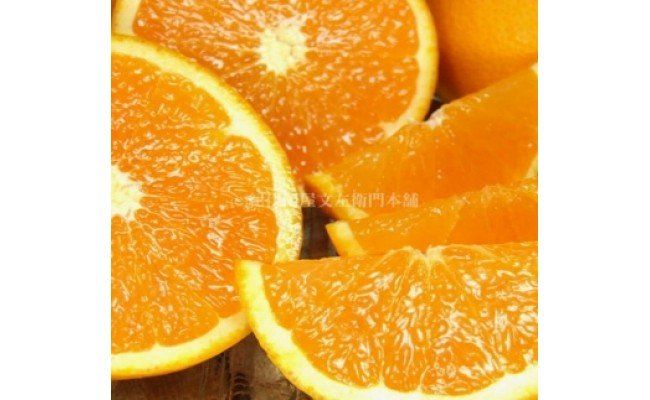 【2027年先行予約】清見オレンジ[約5kg]和歌山県有田産 春みかん (果実サイズおまかせ) 春みかん 紀伊国屋文左衛門本舗_V7026
