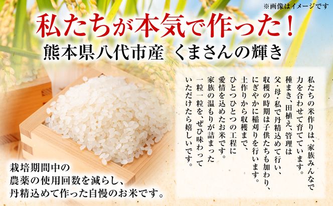 《令和7年産》 くまさんの輝き 精米10kg 熊本県 八代市産 米 お米 精米  国産 白米