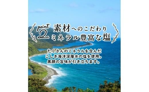 鹿児島県産黒豚使用！黒豚MEGUMIウインナー3種セット(プレーン・ジンジャー・ガーリック 各3P)計9P a3-204