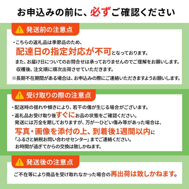 青森県産 シャインマスカット 秀品 1房 約600g 果物 ぶどう フルーツ 豊かな甘み 種無し 皮ごと 大粒 化粧箱入り デザート 