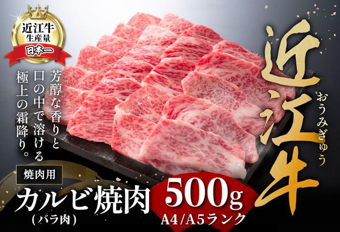 【4等級以上】厳選　近江牛　カルビ　焼肉【500g】【BS02W】