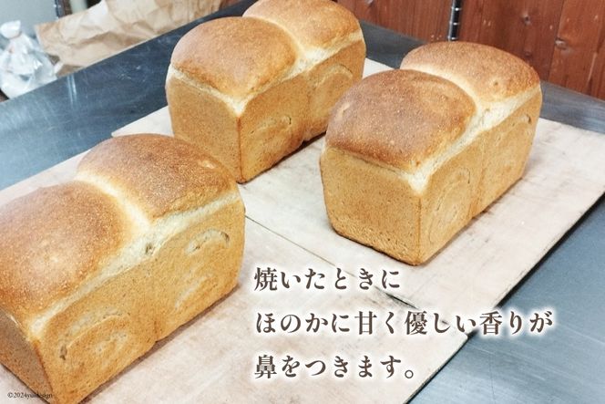 【パリもち！】窯焼き 石臼挽き 全粒粉食パン 1本 8枚切 [しぜん酵母と石窯ぱん　bungaーぶんがー 長野県 池田町 48110650] パン 長期保存 加熱調理 便利食品 朝食 サンドイッチ