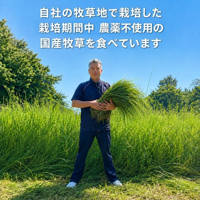 ヤギミルクお試し3種類セット（愛知ヤギ農場）