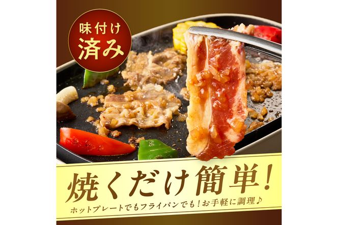 【予約：2025年12月から順次発送】北見市産玉ねぎ使用 味付け牛肉 シャリアピンソース 300g×3個 ( 肉 牛肉 たまねぎ タマネギ 焼肉 )【224-0002】