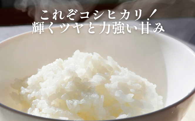 令和7年産 奥山の冷たい水で育てた 石川さんの コシヒカリ 5kg 17000円 新米 お米 米 こめ 産地直送 国産 農家直送 期間限定 数量限定 特産品 2025年産 令和7年度産 2025年度産 甘い もちもち もっちり つやつや ツヤツヤ 旨味 香り 粘り 人気 おすすめ 内祝い お祝い 贈答品 お返し プレゼント 土産 お礼 お取り寄せ 愛南町 愛媛県 石川健一