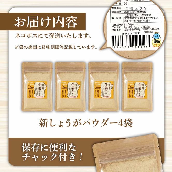 お手軽ヘルシー 高知県産しょうがパウダー 新ショウガ 30g×4袋セット / 生姜パウダー 国産 しょうが ショウガ 粉末しょうが 野菜パウダー 料理 お菓子づくり【カトレア】 [BQBC003]