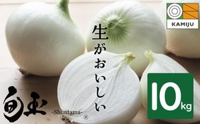 新玉ねぎ 生がおいしい 神重農産のブランド玉ねぎ「旬玉」10㎏ ブランド玉ねぎ 玉ねぎ 国産 愛知県産 野菜 やさい 農家直送 畑直送 旬 期間限定 たまねぎ 先行予約 旬 特産 高評価 高リピート 人気 H105-149