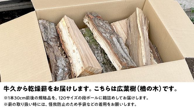 牛久市産 乾燥 薪 楢 ( なら ) 約14kg～16kg 天然木 マキ 乾燥薪 広葉樹 キャンプ アウトドア 焚火 焚き火 薪ストーブ 暖炉 たき火 野外 屋外 バーベキュー薪 ピザ窯の薪 グリル焼 [DP008us]