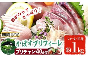 かぼすブリ フィーレ (約1kg) 期間限定 鰤 ブリ フィーレ 半身 魚 魚介類 養殖 大分県産 大分県 佐伯市【EW032】【(株)Up】