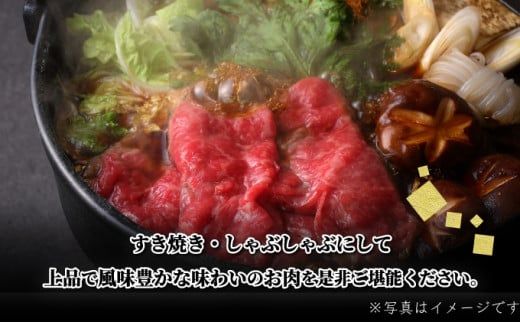 500g【佐賀牛】モモスライス（すき焼き・しゃぶしゃぶ） C-592