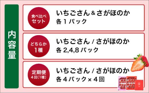【先行予約】数量限定 いちごさん さがほのか ★贈り物にも最適★《2026年1月頃より出荷予定》 いちご イチゴ フルーツ 佐賀県 上峰町