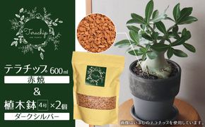 三河焼植木鉢ダークシルバー【テラチップ赤焼】プランター お手軽植物栽培セット 園芸 粘土 鉢 植物 土 シルバー 銀 赤 H188-006