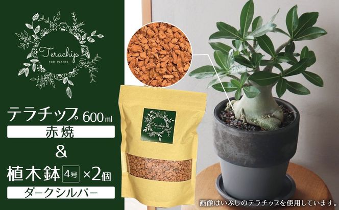 三河焼植木鉢ダークシルバー【テラチップ赤焼】プランター お手軽植物栽培セット 園芸 粘土 鉢 植物 土 シルバー 銀 赤 H188-006